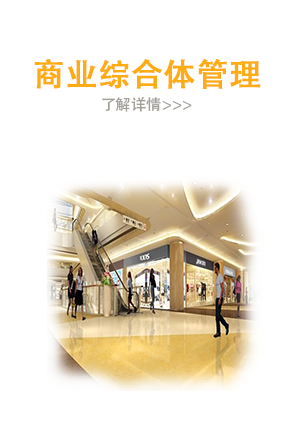 商业综合体管理